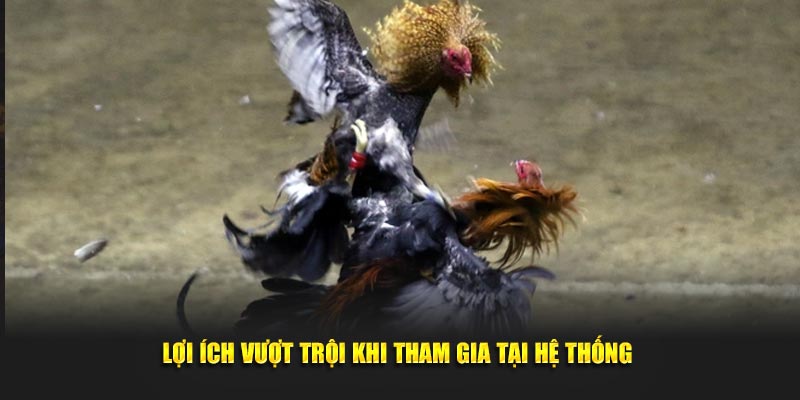 Lợi ích vượt trội khi tham gia tại hệ thống ABC8 