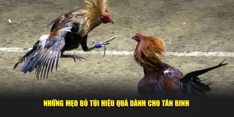 Những mẹo bỏ túi hiệu quả dành cho tân binh