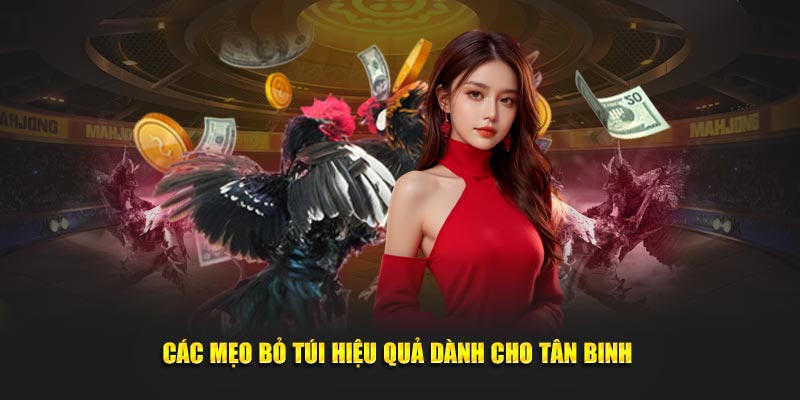 Các mẹo bỏ túi hiệu quả dành cho tân binh 