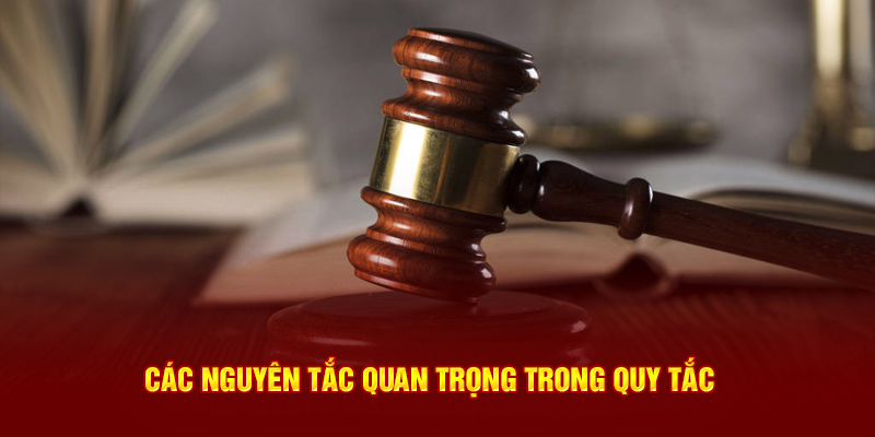 Các nguyên tắc quan trọng trong quy tắc