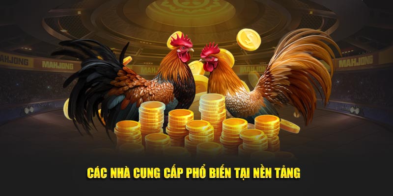 Các nhà cung cấp phổ biến tại nền tảng  