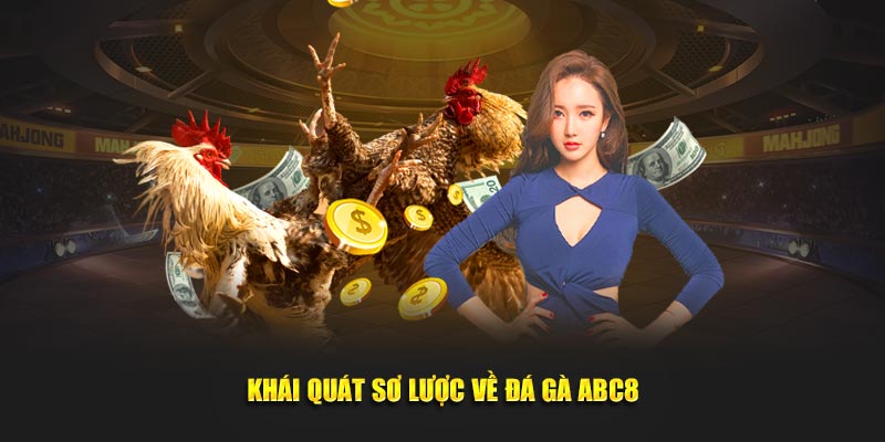 Khái quát sơ lược về đá gà ABC8 