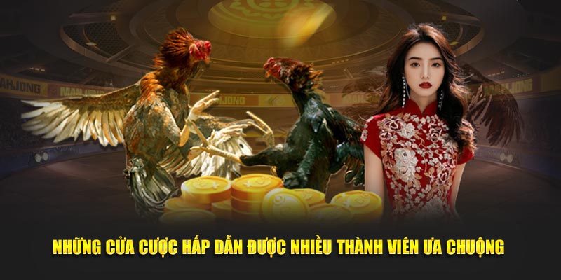 Những cửa cược hấp dẫn được nhiều thành viên ưa chuộng 